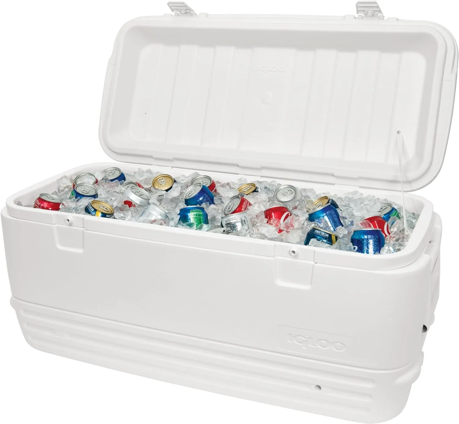Chillin' Like a Villain: Igloo's Polar Party Ice Forts!