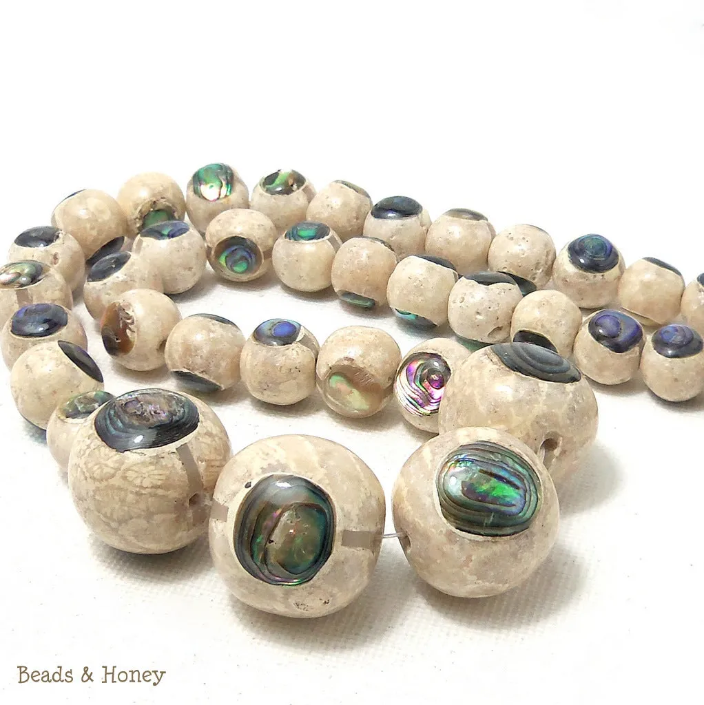 Mactan Stone Inlaid Abalone Shell Round Graduated 10-20mm