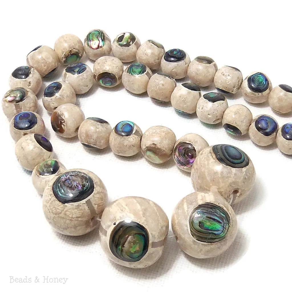 Mactan Stone Inlaid Abalone Shell Round Graduated 10-20mm