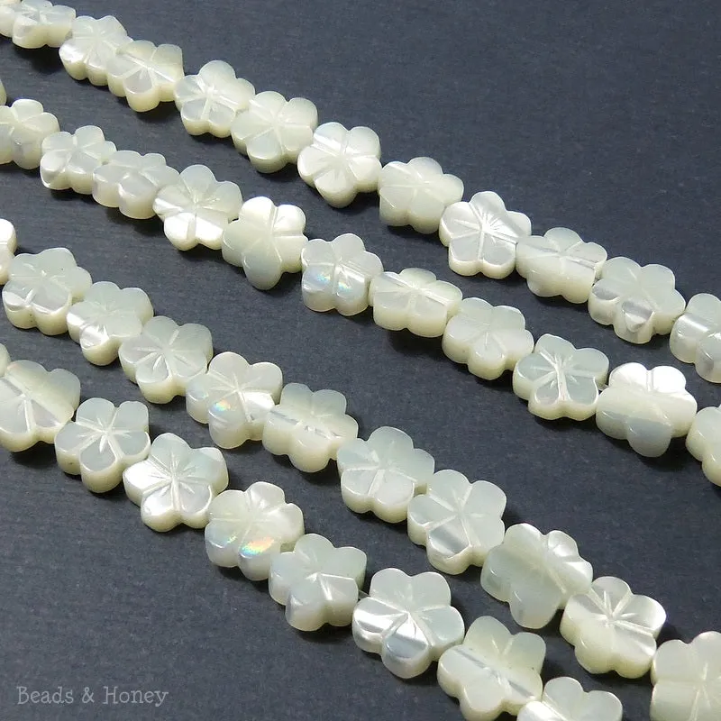 Troca Shell Flower Hand Carved 8mm (12pcs)