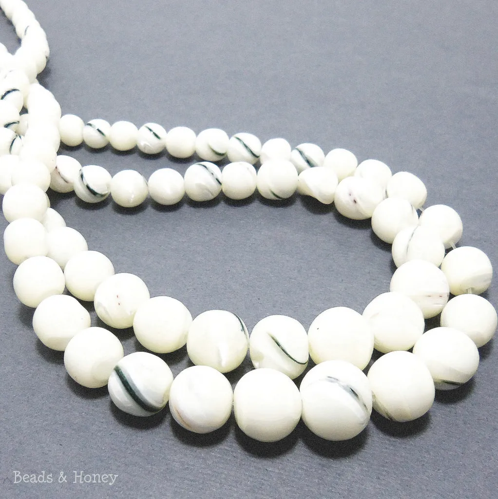 Troca Shell Male Graduated Round 6-12mm (Full Strand)