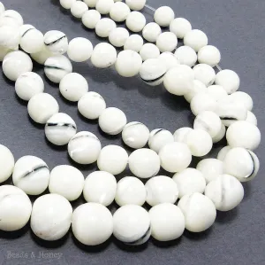 Troca Shell Male Graduated Round 6-12mm (Full Strand)